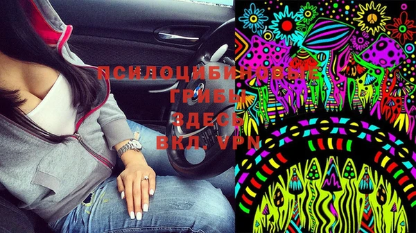 прущая мука Мегион