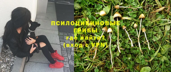 ГАЛЛЮЦИНОГЕННЫЕ ГРИБЫ Медвежьегорск
